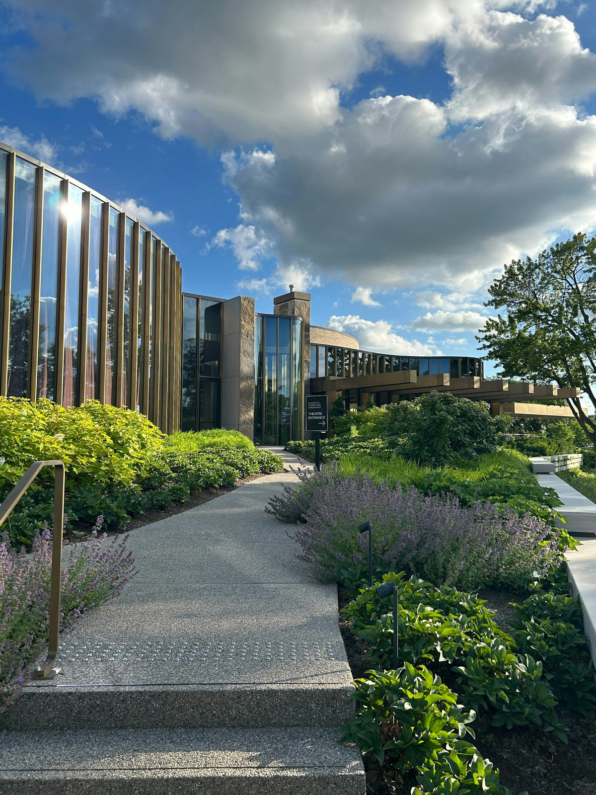 Landscaped walkway with lavender and shrub beds at a commercial office campus